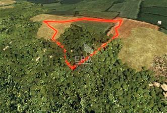 Muğla Zeytinköy SATILIK 13.920 m2 Tek Katlı Kargir Ev ve Tarla