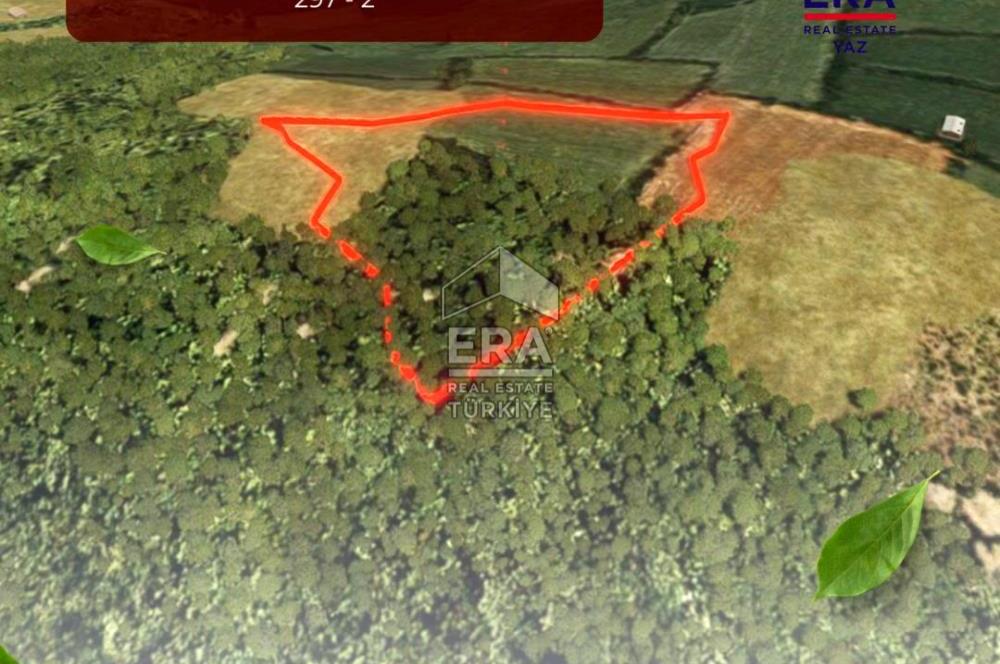Muğla Zeytinköy SATILIK 13.920 m2 Tek Katlı Kargir Ev ve Tarla