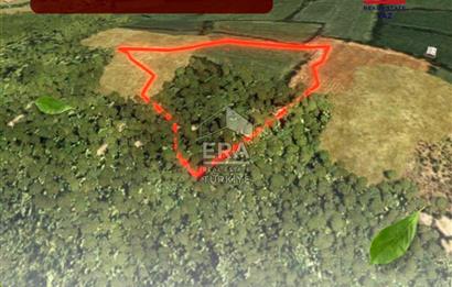 Muğla Zeytinköy SATILIK 13.920 m2 Tek Katlı Kargir Ev ve Tarla