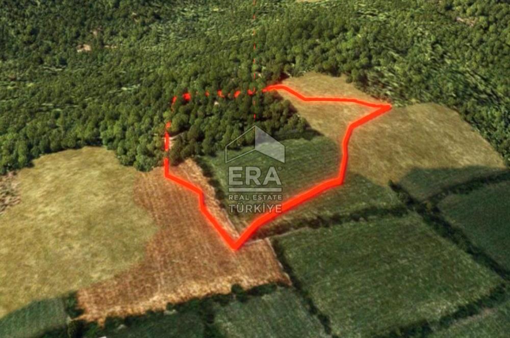 Muğla Zeytinköy SATILIK 13.920 m2 Tek Katlı Kargir Ev ve Tarla