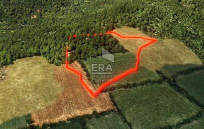 Muğla Zeytinköy SATILIK 13.920 m2 Tek Katlı Kargir Ev ve Tarla