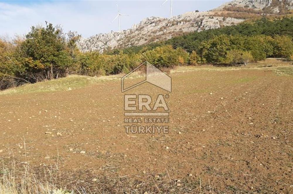 ERA KARAT GEYVE DOĞANCIL MAH. İMARLI 1242 M2 ARSA