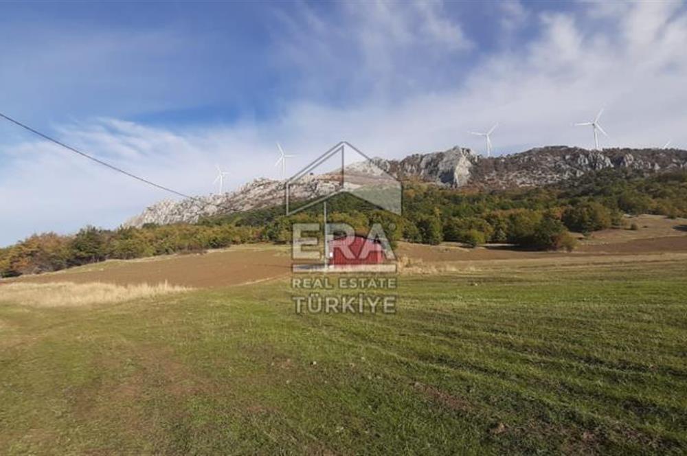 ERA KARAT GEYVE DOĞANCIL MAH. İMARLI 1242 M2 ARSA