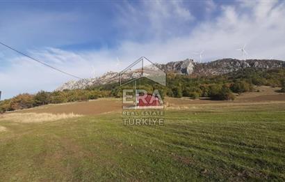 ERA KARAT GEYVE DOĞANCIL MAH. İMARLI 1242 M2 ARSA