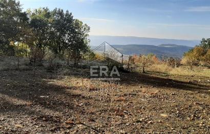 ERA KARAT GEYVE DOĞANCIL MAH.de PROJELİ RUHSATLI ARSA