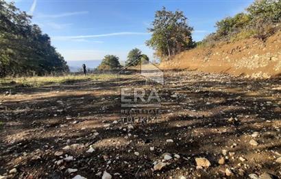 ERA KARAT GEYVE DOĞANCIL MAH.de PROJELİ RUHSATLI ARSA
