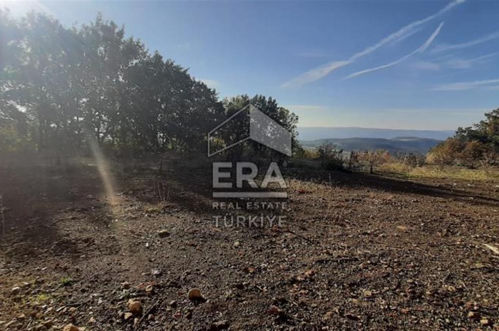 ERA KARAT GEYVE DOĞANCIL MAH.de PROJELİ RUHSATLI ARSA