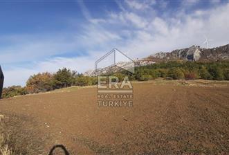 ERA KARAT GEYVE DOĞANCIL MAH. İMARLI 1242 M2 ARSA