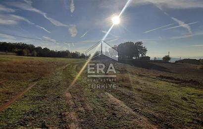 ERA KARAT GEYVE DOĞANCIL MAH. İMARLI 1242 M2 ARSA