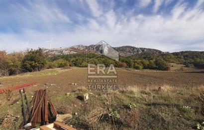 ERA KARAT GEYVE DOĞANCIL MAH. İMARLI 1242 M2 ARSA