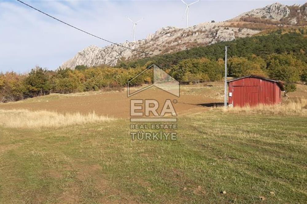 ERA KARAT GEYVE DOĞANCIL MAH. İMARLI 1242 M2 ARSA