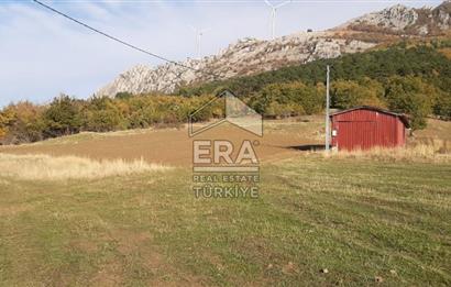 ERA KARAT GEYVE DOĞANCIL MAH. İMARLI 1242 M2 ARSA