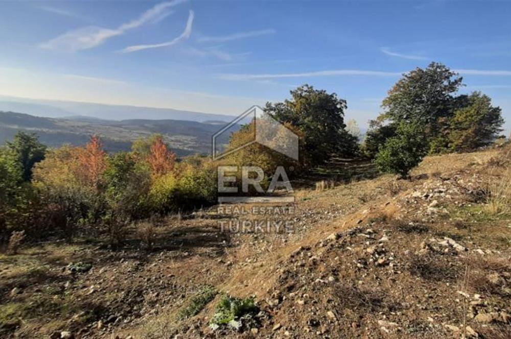 ERA KARAT GEYVE DOĞANCIL MAH.de PROJELİ RUHSATLI ARSA