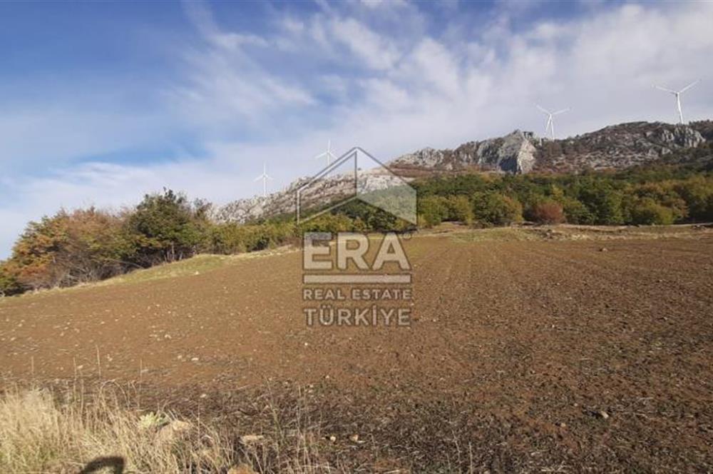 ERA KARAT GEYVE DOĞANCIL MAH. İMARLI 1242 M2 ARSA