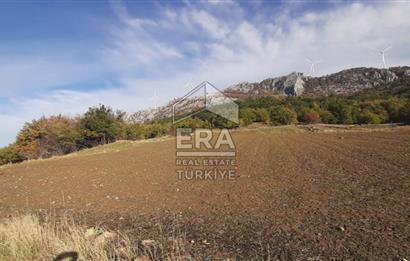 ERA KARAT GEYVE DOĞANCIL MAH. İMARLI 1242 M2 ARSA