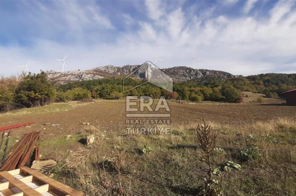 ERA KARAT GEYVE DOĞANCIL MAH. İMARLI 1242 M2 ARSA
