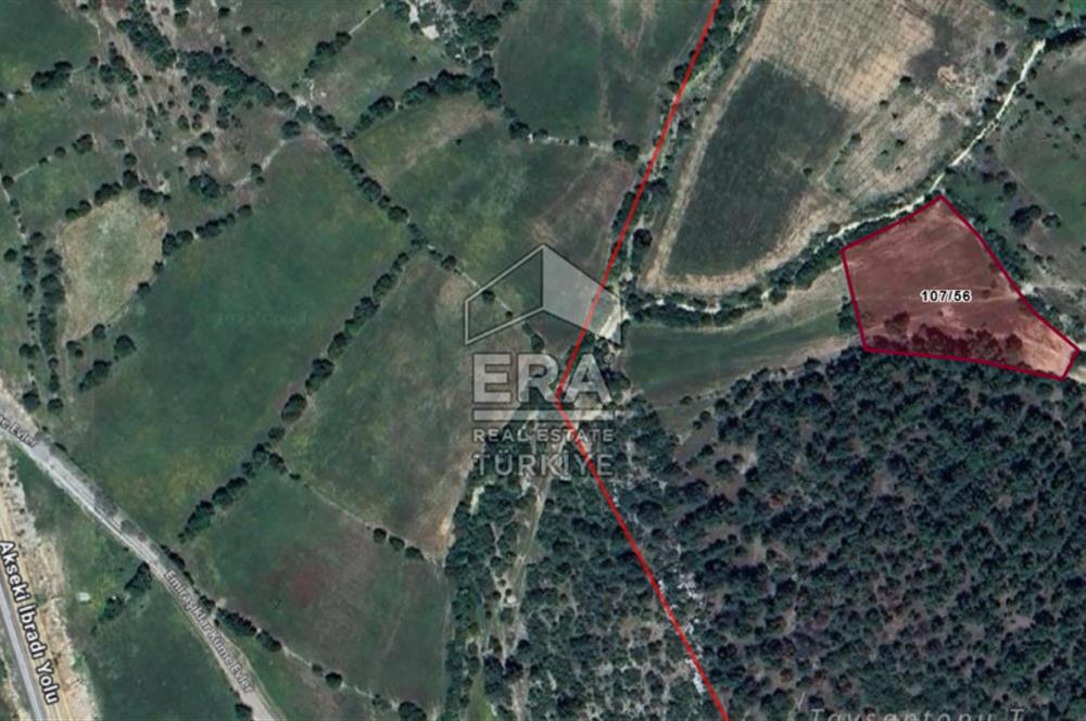 ANTALYA AKSEKİ BUCAKKIŞLA MAHALLESİ SATILIK TEK TAPU TARLA