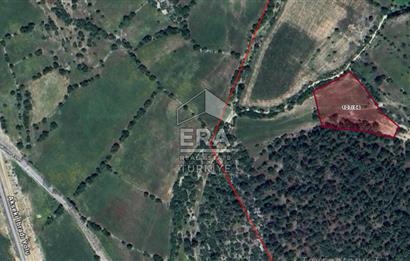 ANTALYA AKSEKİ BUCAKKIŞLA MAHALLESİ SATILIK TEK TAPU TARLA