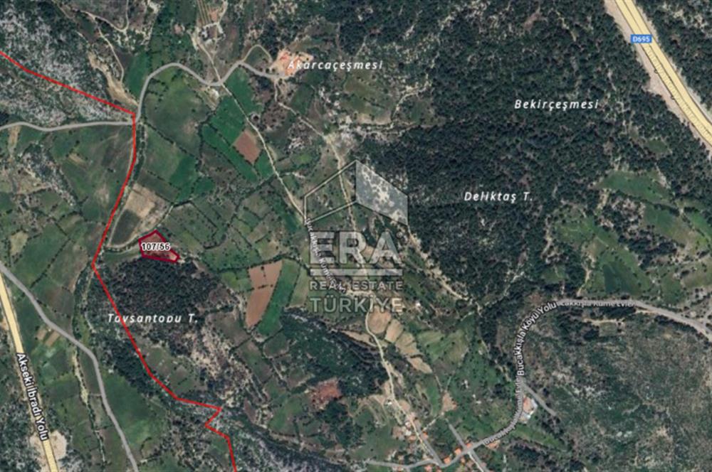 ANTALYA AKSEKİ BUCAKKIŞLA MAHALLESİ SATILIK TEK TAPU TARLA