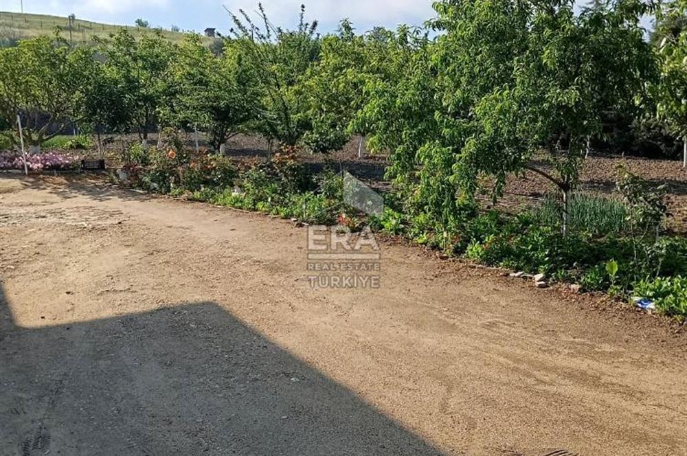 SATILIK SAZLIDERE'DE 2232 M2 MÜSTAKİL EV VE GENİŞ ARSA