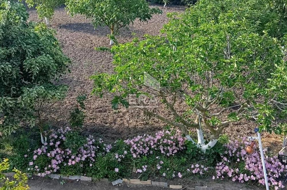 SATILIK SAZLIDERE'DE 2232 M2 MÜSTAKİL EV VE GENİŞ ARSA