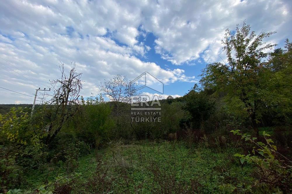 ERA KARAT SAPANCA HACIMERCAN SATILIK ARSA