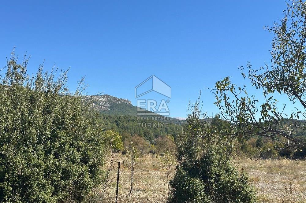 ANTALYA AKSEKİ BUCAKKIŞLA MAHALLESİ SATILIK TEK TAPU TARLA