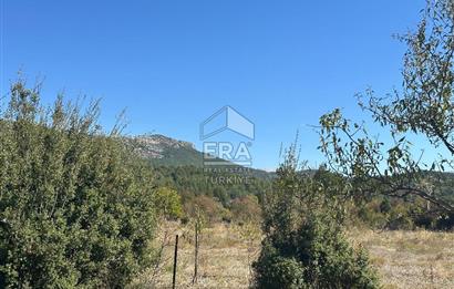 ANTALYA AKSEKİ BUCAKKIŞLA MAHALLESİ SATILIK TEK TAPU TARLA