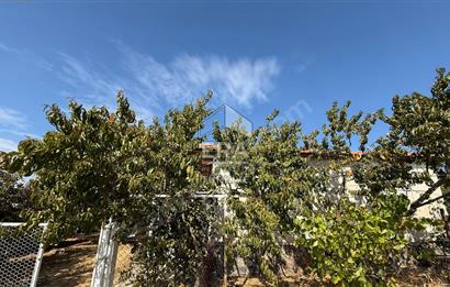 Bayındır Çınardibi Doğa İçinde 1.039 m² Arsa 1+1 Bağ Evi