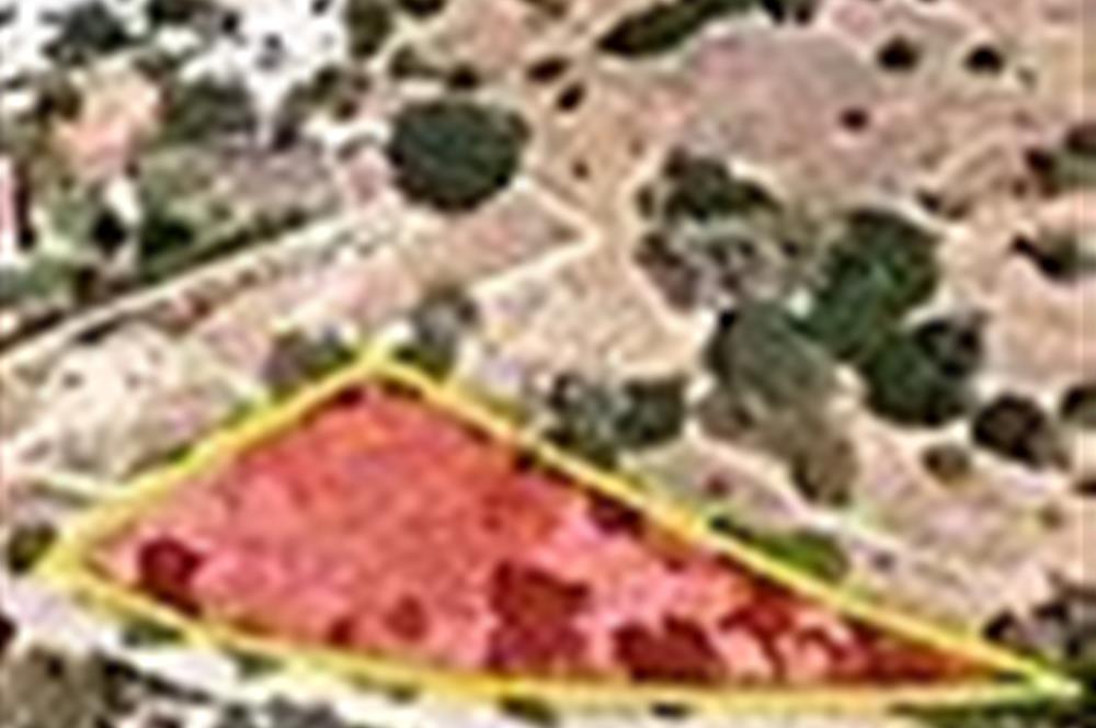 Bodrum Çiftlik'de 1500 m2 Satılık Arazi