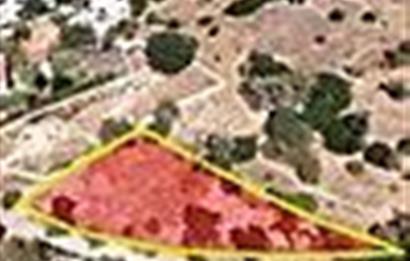 Bodrum Çiftlik'de 1500 m2 Satılık Arazi