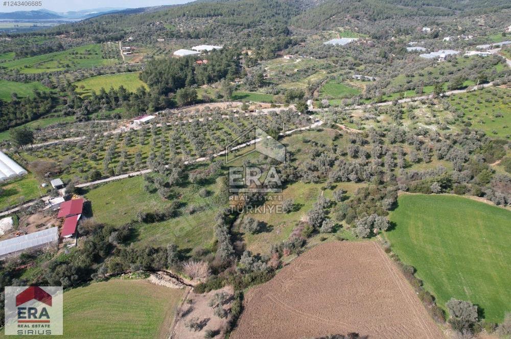 Bodrum Çömlekçi Mevkii Satılık Arazi