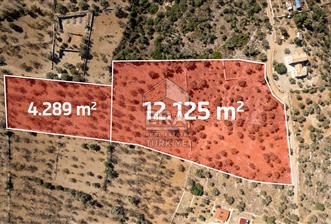  Datça Palamutbükü’nde 16.414 m2 Deniz Manzaralı İmarlı Arsa