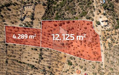 Datça Palamutbükü’nde 16.414 m2 Deniz Manzaralı İmarlı Arsa