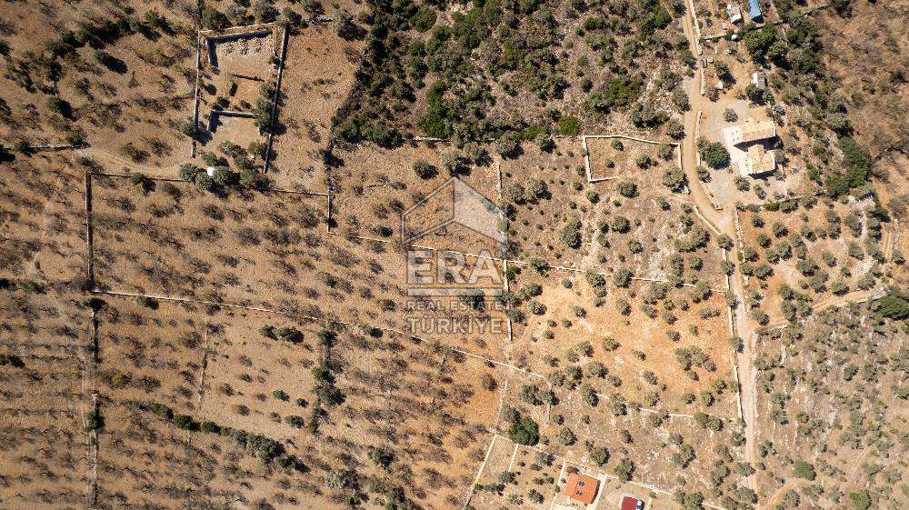  Datça Palamutbükü’nde 16.414 m2 Deniz Manzaralı İmarlı Arsa