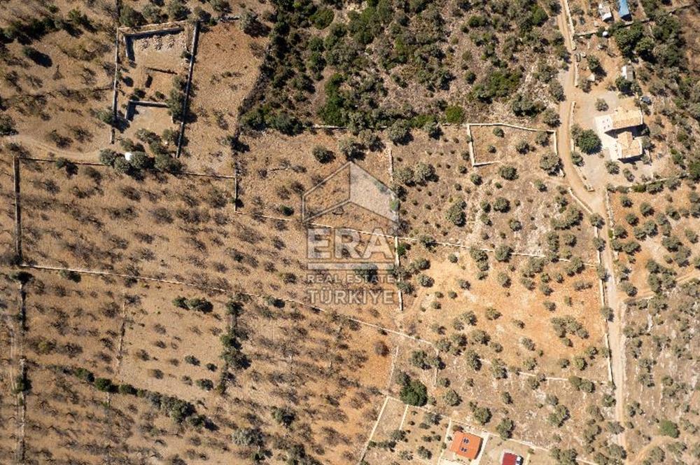  Datça Palamutbükü’nde 16.414 m2 Deniz Manzaralı İmarlı Arsa