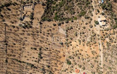  Datça Palamutbükü’nde 16.414 m2 Deniz Manzaralı İmarlı Arsa
