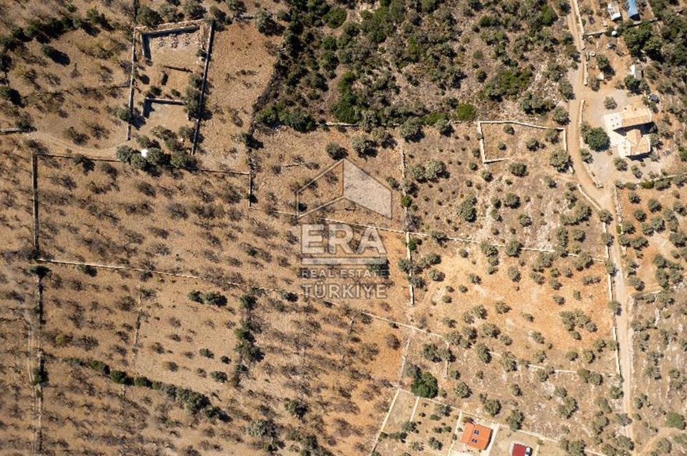  Datça Palamutbükü’nde 16.414 m2 Deniz Manzaralı İmarlı Arsa