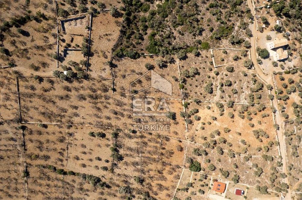  Datça Palamutbükü’nde 16.414 m2 Deniz Manzaralı İmarlı Arsa