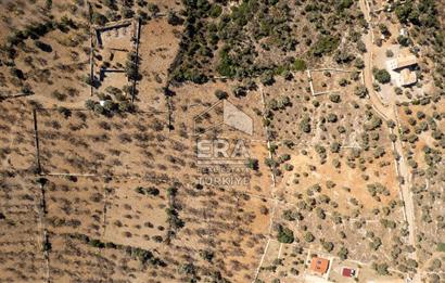 Datça Palamutbükü’nde 16.414 m2 Deniz Manzaralı İmarlı Arsa