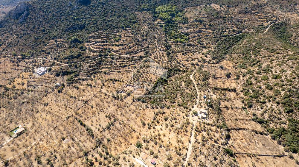  Datça Palamutbükü’nde 16.414 m2 Deniz Manzaralı İmarlı Arsa