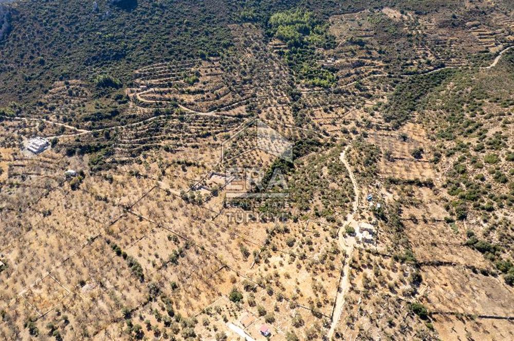  Datça Palamutbükü’nde 16.414 m2 Deniz Manzaralı İmarlı Arsa