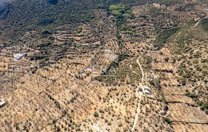  Datça Palamutbükü’nde 16.414 m2 Deniz Manzaralı İmarlı Arsa