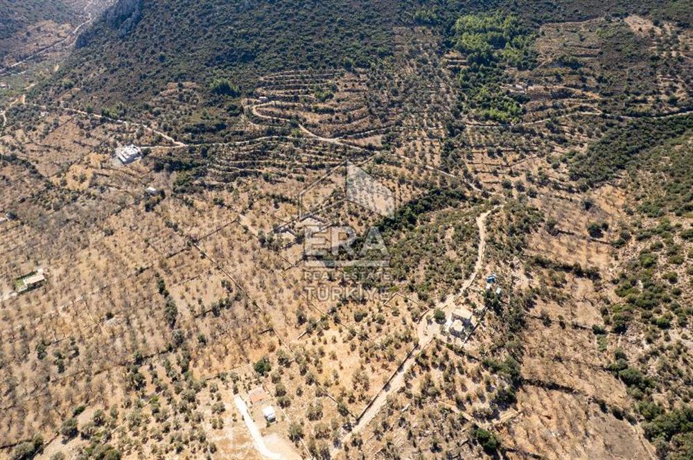  Datça Palamutbükü’nde 16.414 m2 Deniz Manzaralı İmarlı Arsa