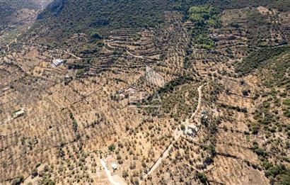  Datça Palamutbükü’nde 16.414 m2 Deniz Manzaralı İmarlı Arsa