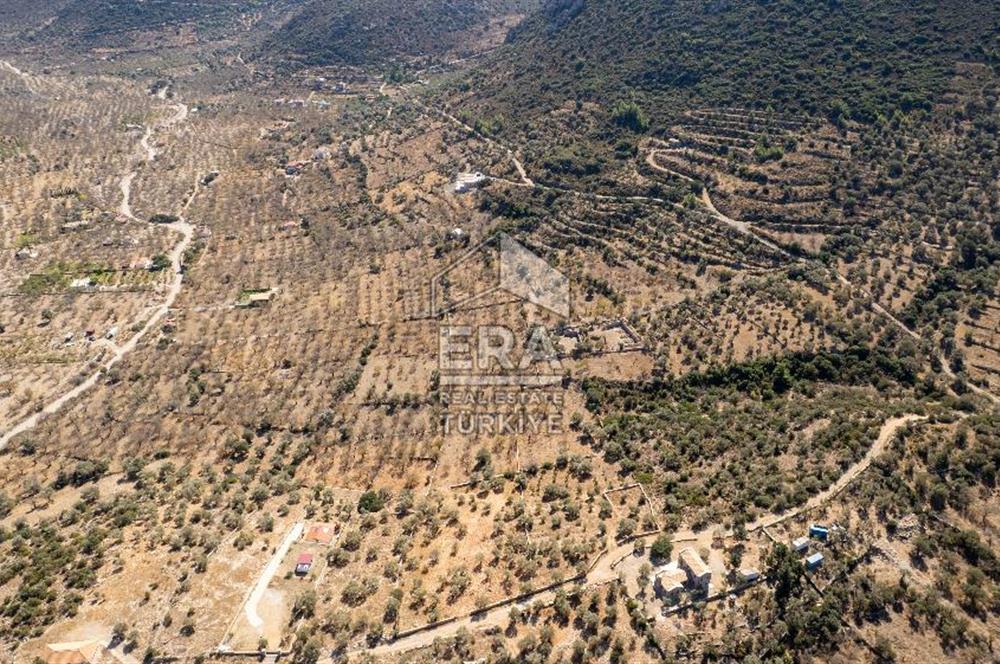  Datça Palamutbükü’nde 16.414 m2 Deniz Manzaralı İmarlı Arsa