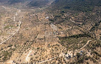  Datça Palamutbükü’nde 16.414 m2 Deniz Manzaralı İmarlı Arsa