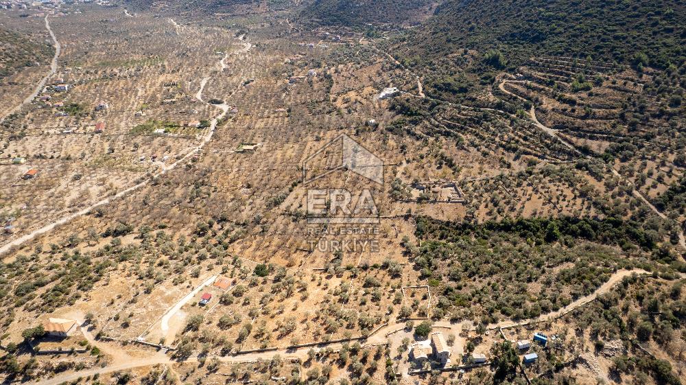  Datça Palamutbükü’nde 16.414 m2 Deniz Manzaralı İmarlı Arsa