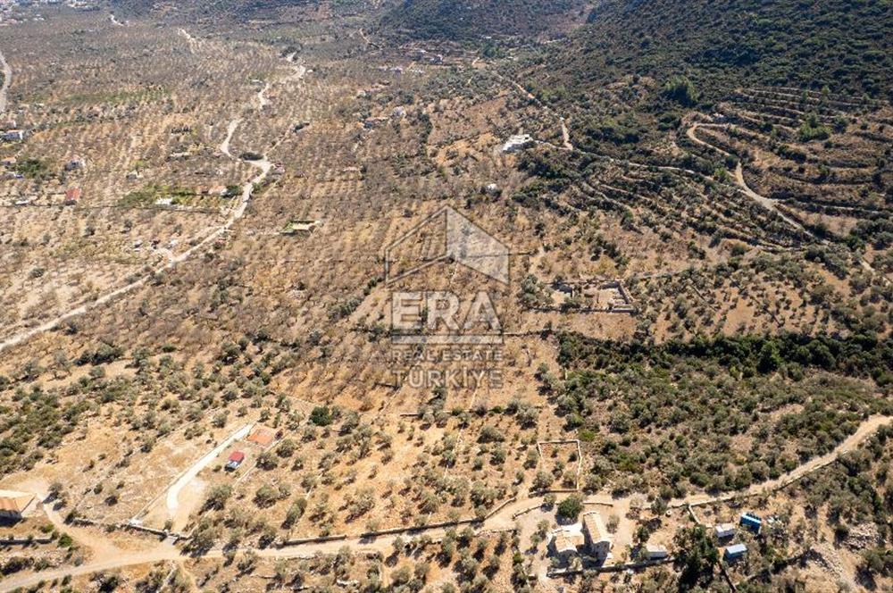  Datça Palamutbükü’nde 16.414 m2 Deniz Manzaralı İmarlı Arsa