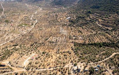  Datça Palamutbükü’nde 16.414 m2 Deniz Manzaralı İmarlı Arsa